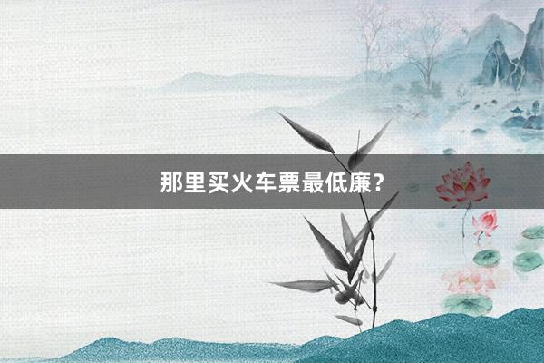 那里买火车票最低廉？