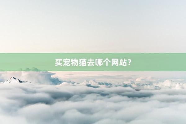 买宠物猫去哪个网站？